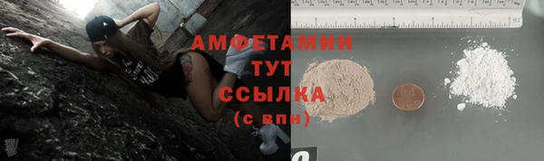 прущие грибы Белокуриха