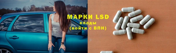 mdpv Вяземский