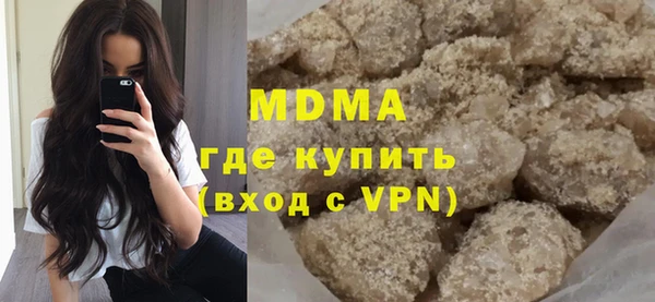 молекула духа Богданович