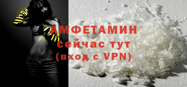 прущие грибы Белокуриха