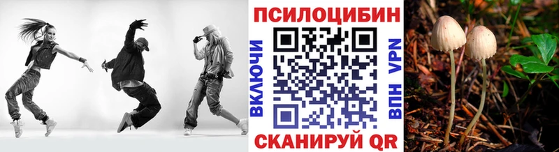 Псилоцибиновые грибы GOLDEN TEACHER  Горячий Ключ 
