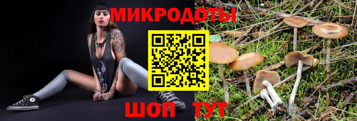 Галлюциногенные грибы GOLDEN TEACHER Горячий Ключ