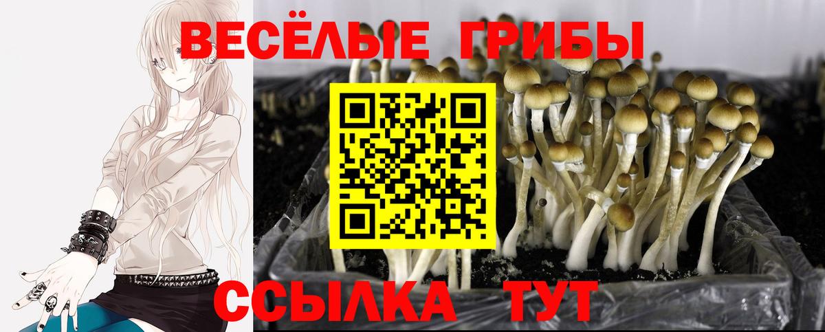 Горячий Ключ  Псилоцибиновые грибы прущие грибы  Галлюциногенные грибы Cubensis  Вход с VPN 